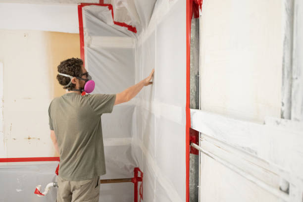 Mold Remediation for Vacation Homes in Sylvania, GA