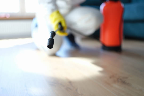 Best Crawl Space Mold Remediation  in Sylvania, GA