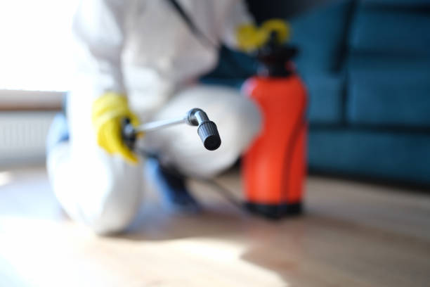 Best Emergency Mold Remediation  in Sylvania, GA