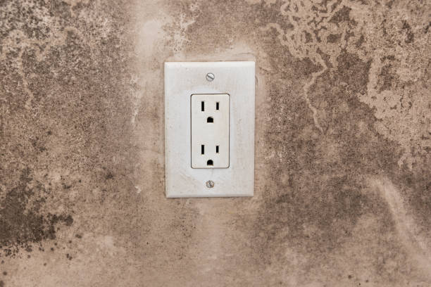 Best Real Estate Mold Inspection  in Sylvania, GA